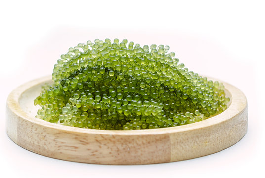 Seagrapes (green caviar ) seaweed in wooden plate
