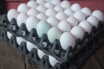 White eggs in tray