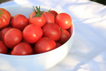 Freshly picked tomatoes in a white vintage ceramic bowl. Selective focus, free text space