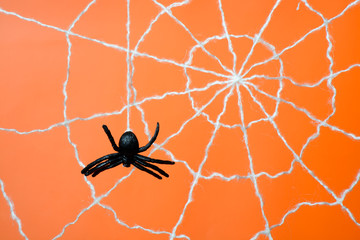 Black spider and web on an orange background