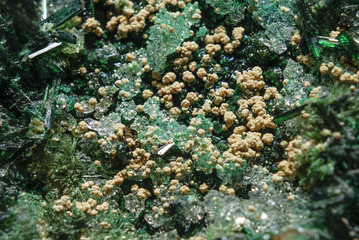 Extreme Close-Up Of Intricate Green Emerald Crystals