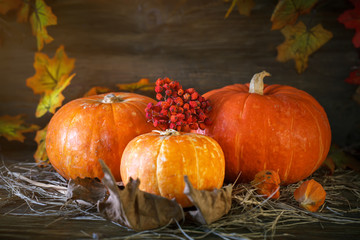 Wooden table decorated with pumpkins and autumn leaves. Autumn background. Happy Thanksgiving Day background.