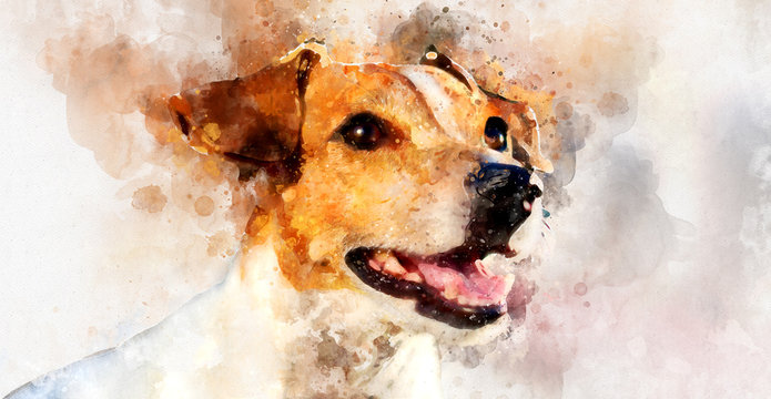 Digital watercolor painting of Jack Russell Terrier dog