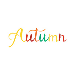 Modern brush phrase autumn. Word of Fall isolated on white background. trendy colors of autumn