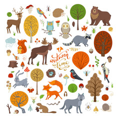Fototapeta premium Vector set of autumn forest trees and animals.