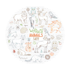 Vector woodland animals set in a circle.