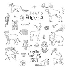 Doodles woodland set of animals and insects.