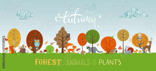 Vector Autumn Forest Animals And Plants Background In Cartoon Style Wall Mural Maljuk