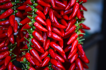 paprika close up - fresh vegetables