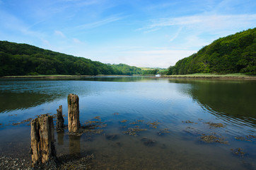 High Tide