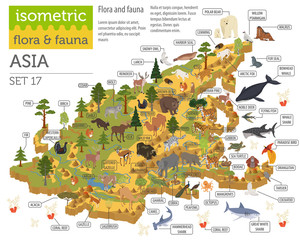 Isometric 3d Asian flora and fauna map constructor elements. Animals, birds and sea life isolated on white big set. Build your own geography infographics collection