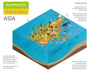 Isometric 3d Asian flora and fauna map constructor elements. Animals, birds and sea life isolated on white big set. Build your own geography infographics collection