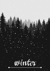 hand drawn vector nature illustration with snow fir spruce forest on first view. winter silhouette landscape. using for travel and nature background and card