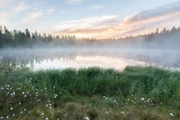 Muurstickers Mistige ochtend bij bosvijverlandschap Finland © Juhku