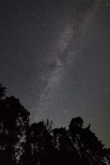 Milky way galaxy in clear starry night sky and tree silhouettes