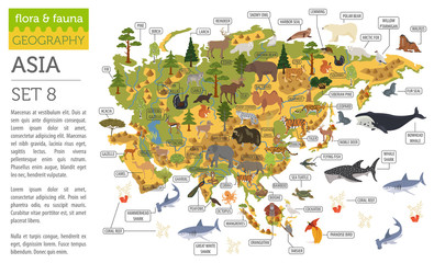 Flat Asian flora and fauna map constructor elements. Animals, birds and sea life isolated on white big set. Build your own geography infographics collection