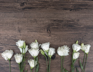 Eustoma white flowers with wood backgrounds, represents the freshness of spring. 