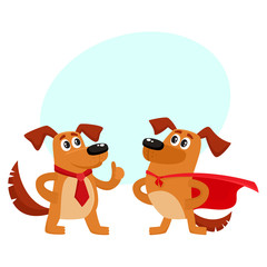 Two funny brown dog characters, one standing in superhero cape, another showing thumb up, cartoon vector illustration isolated on white background with speech bubble