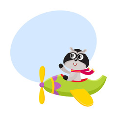 Cute funny raccoon pilot character flying on airplane, cartoon vector illustration with space for text. Little baby raccoon pilot, animal character flying in open airplane