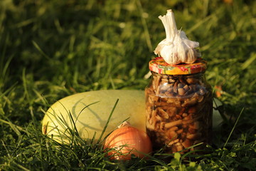 Forest mushrooms in the cans