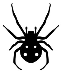 Obraz premium Spider symbol