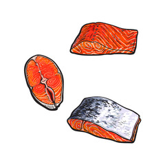 Obraz premium vector sketch style sea red salmon fish meat fillet steak with, without skin from top side view set. Isolated illustration on a white background. Seafood delicacy, restaurant menu decoration object