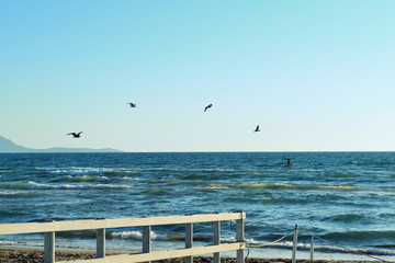 Sea  
