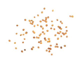 Yellow mustard seeds isolated on white background, top view