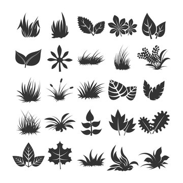 Leaves and grass silhouettes on white background