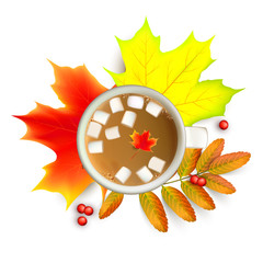 Autumn maple leaf and rowan branches with ashberry and cup of coffee with marshmallow isolated on a white background. Vector illustration