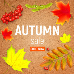 Sales banner on a crafting paper with maple autumn leaves and rowan branches with ashberry . Autumn maple leaf and rowan branches with ashberry on a crafting paper. Vector illustration