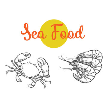 vector sketch cartoon sea crayfish lobster. Isolated illustration on a white background. Sea delicacy food concept