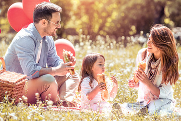 Family with child enjoying picnic in park. - obrazy, fototapety, plakaty