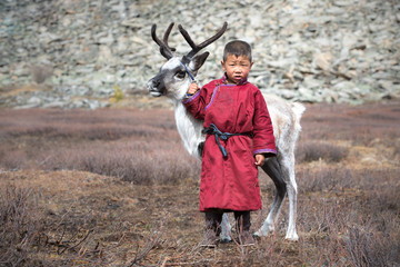 Little Tsaatan boy with a reindeer. Mongolia.