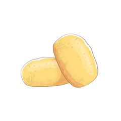 Obraz premium vector funny cartoon cute brown potatoes set isolated on white background.