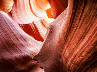 Lower Antelope Canyon, Arizona, United States
