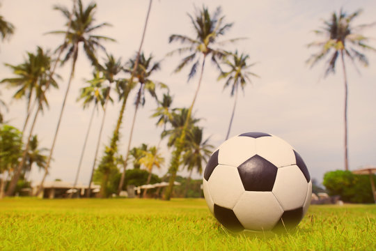 Soccer ball on the lawn amid tropical island, palm trees, and sky. Toned.