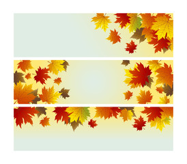 Vector autumn background design of maple leaves with copy space