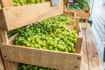 hops in farmer's market