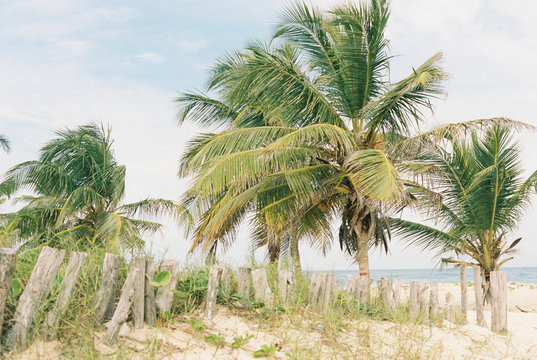 Wooden posts form a sloppy barrier / fence on a beach in the Caribbean