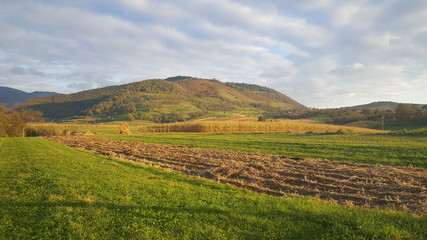 Obraz premium Farmland in Chiscau Romania