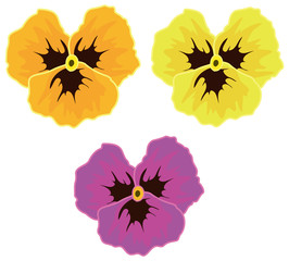 パンジーセット