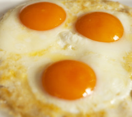 omelette œufs au plat 