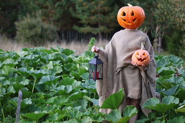 pumpkin head deamon horror