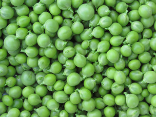 Green pea background . Texture of ripe green peas
