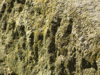 Weathered stone with lichen and moss background