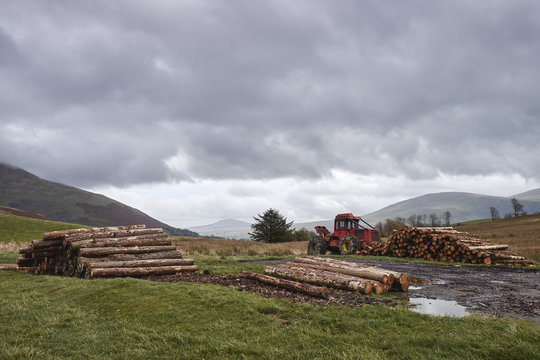 Forestry machine and timber stack on mountainside. Cumbria, UK.