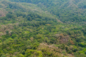 Fototapeta na wymiar Forest in national park El Imposible, El Salvador