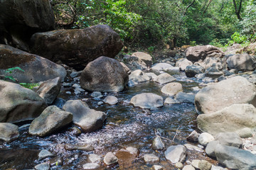Creek in national park El Imposible, El Salvador