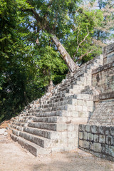Fototapeta na wymiar Stairway at the archaeological site Copan, Honduras